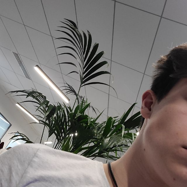 Profile picture