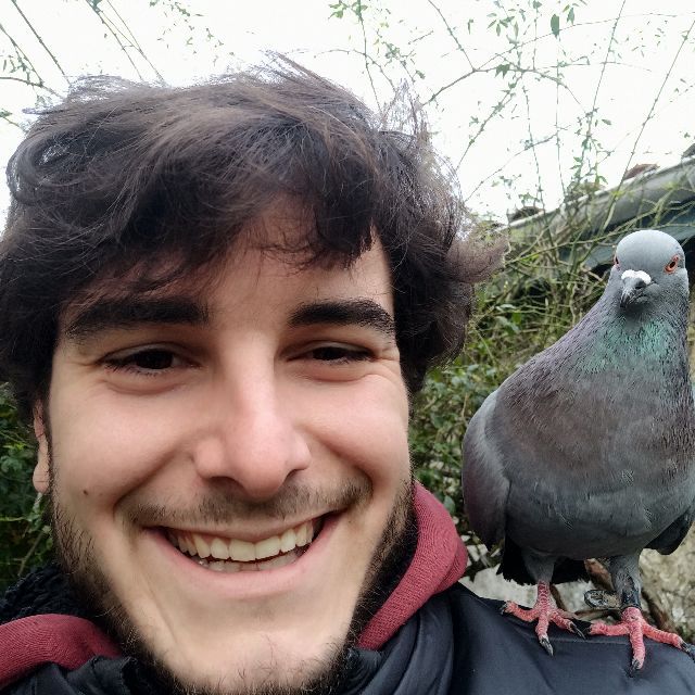 Profile picture