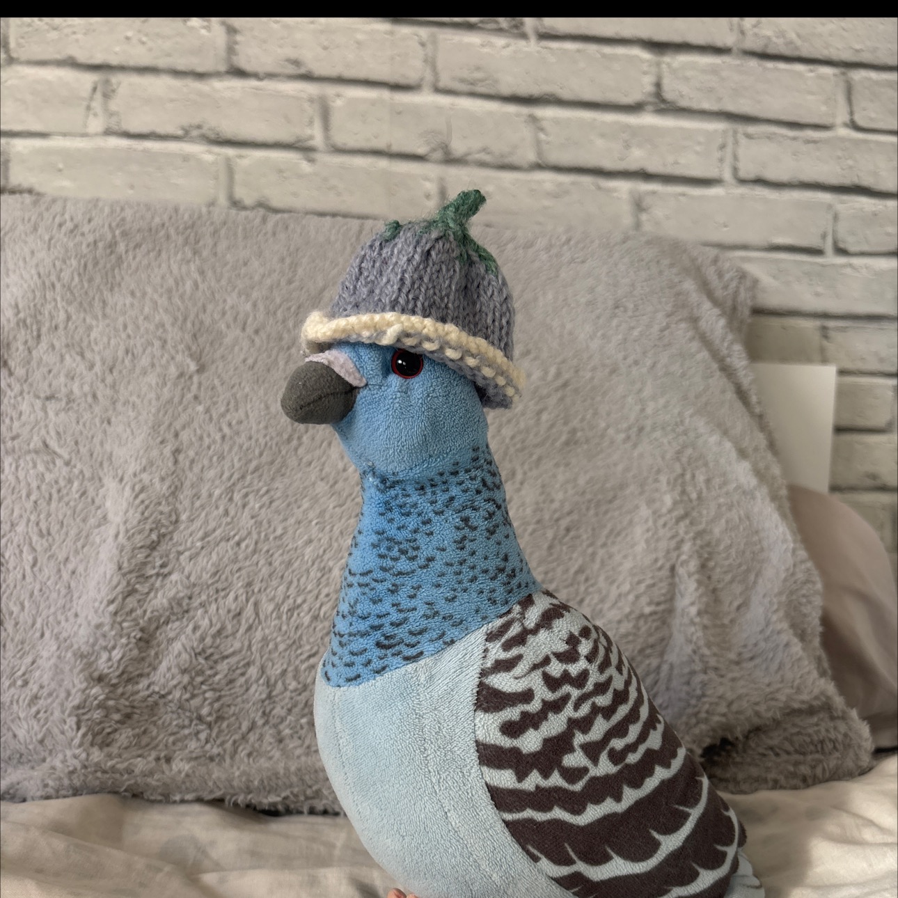 Profile picture