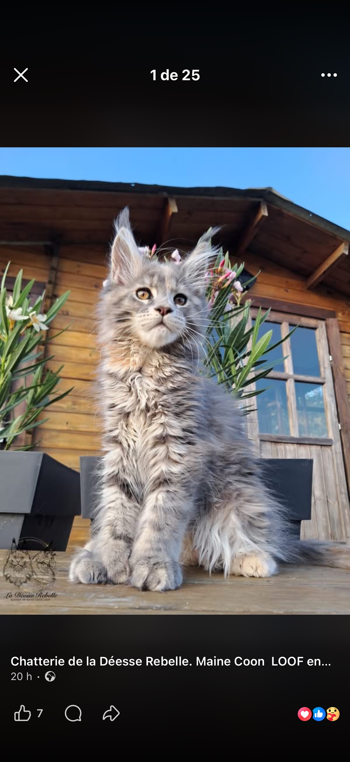 Profile picture