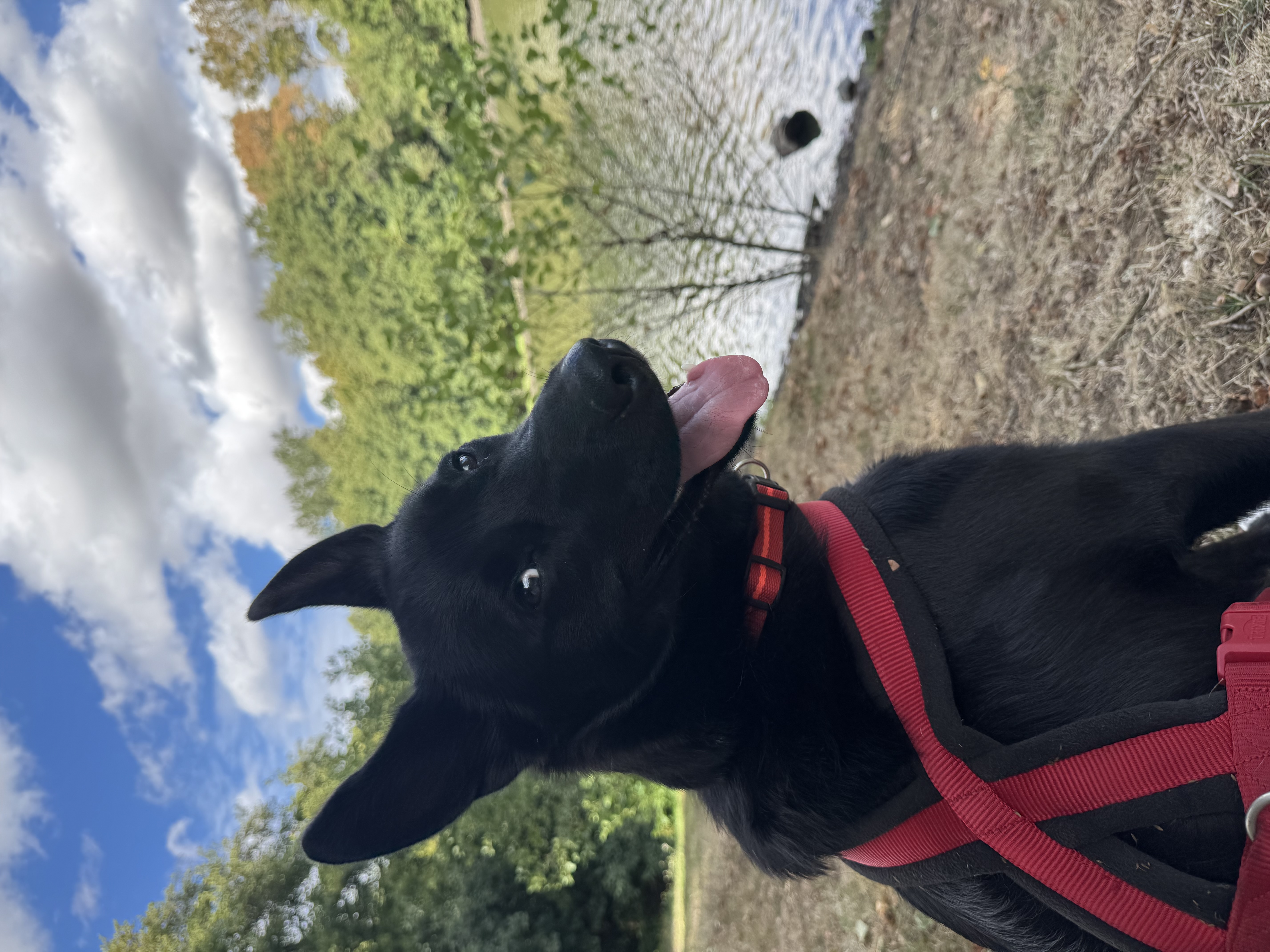 Profile picture